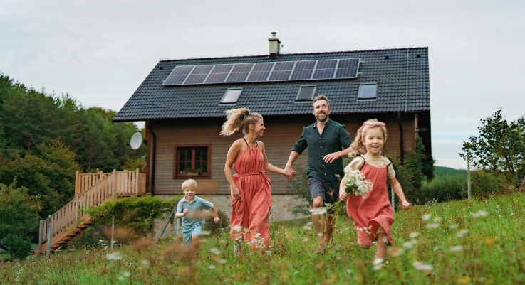 Eco-Friendly Home Renovation Ideas